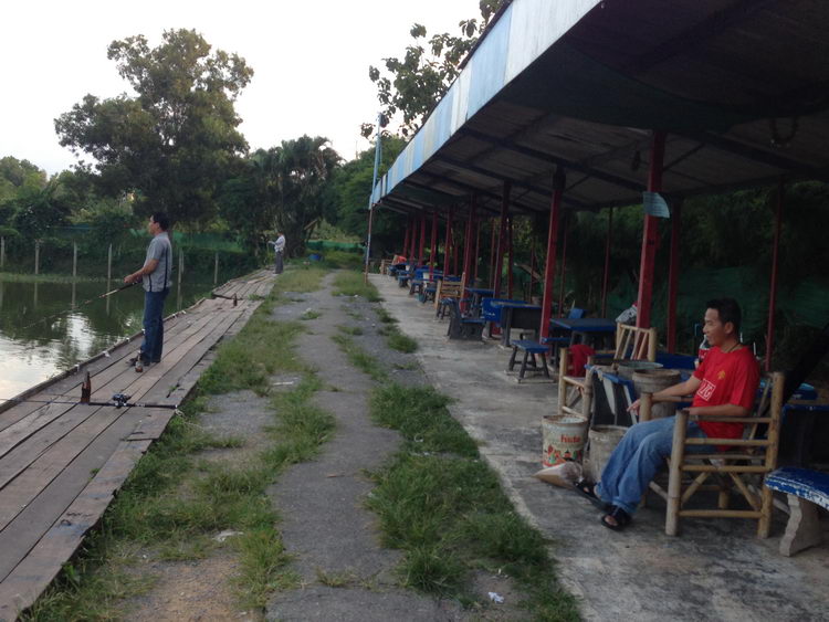 บรรยากาศ "ท้ายบ่อ"  :grin: :grin:




เสาร์สัปดานี้ คนจะน้อยนะครับ เนื่องจากนักตกปลาส่วนใหญ่ไ