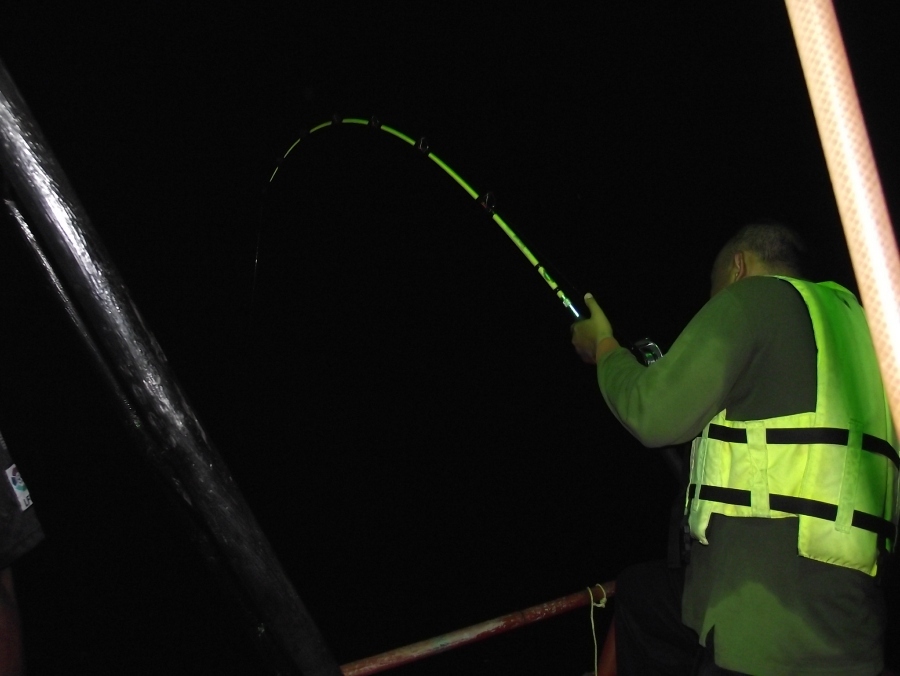 #######หยุดไปพักใหญ่ๆ พอมืดเริ่มกินอีกครั้ง สายลอยท้ายเรืออีกแล้ว #######