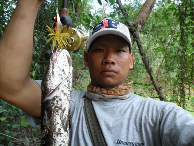 จัดเต็มครับ
