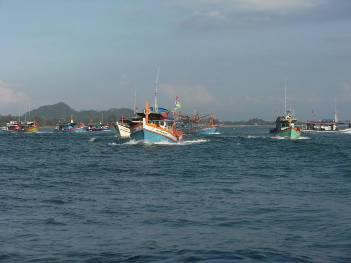  [b]วันนี้เรือเบ็ดปากบาราวิ่งเร็วสุดๆ ในรอบปี เพราะต้องรีบเข้าหมายไดร์หมึกก่อน (เร็วเฉพาะตอนวิ่งเข้า