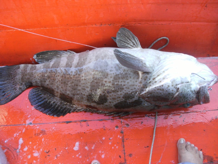  [b]ตัวนี้มีลุ้นรางวัล[/b]

