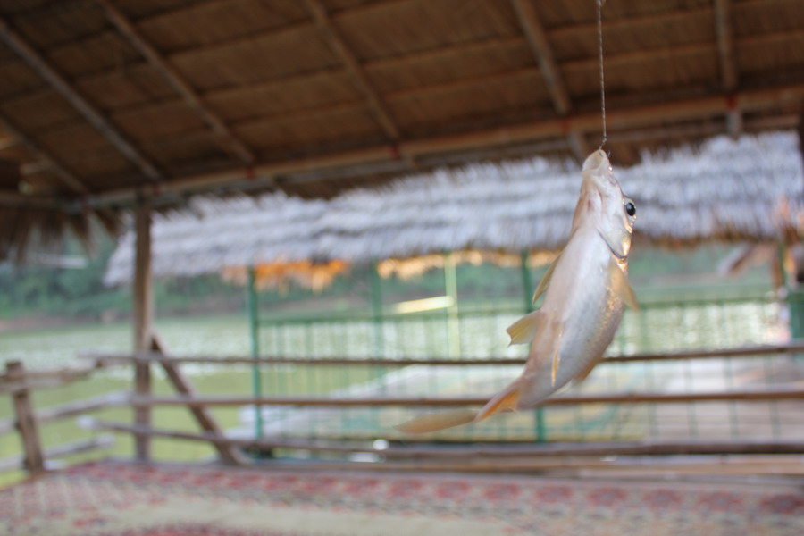 ตกเองถ่ายเองครับ อิๆ :smile: :smile: