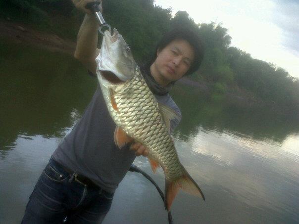 ผมบ้างครับ ตัวนี้กิน Td  minnow  ครับ
