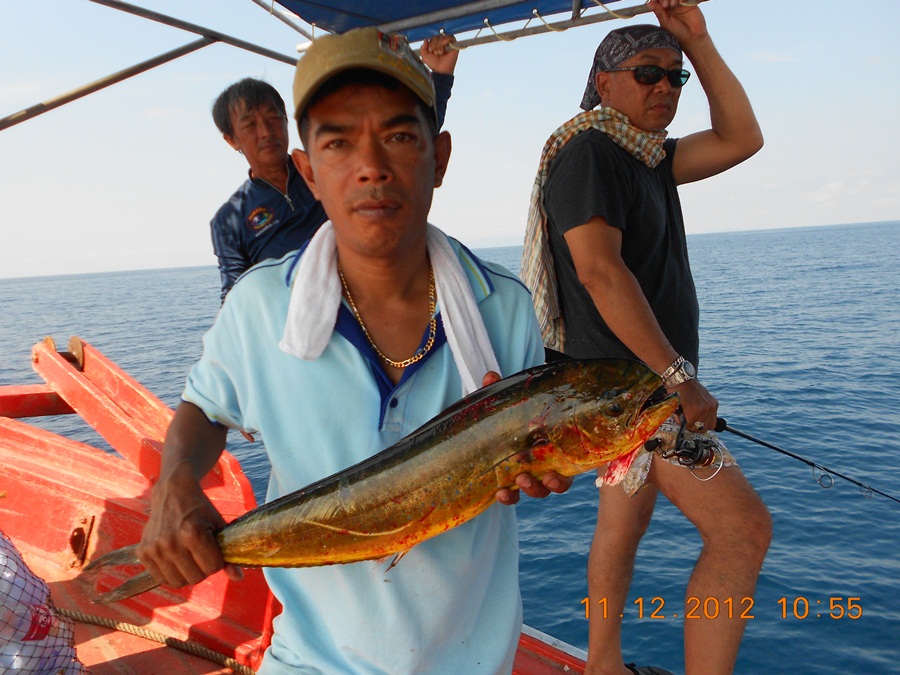 เที่ยวนี้โดนผูง โต้มอญ  และฉลาม ล้อมเรือ ทำอะไรกันไม่ถูกเลย
ติดสายลอยมาหนึ่งหน่วย
