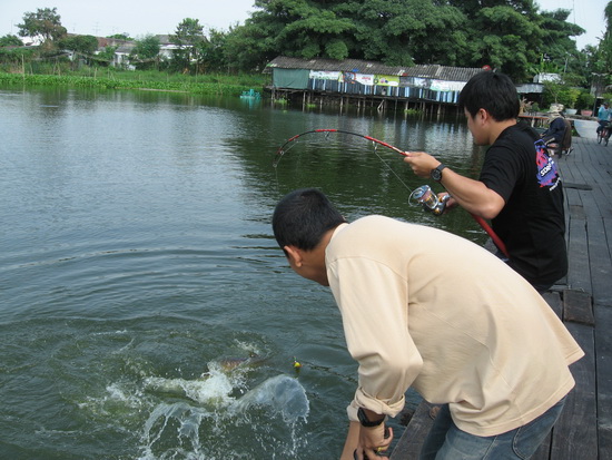 ตัดไปตัดมา ถ่ายรูปไม่ทัน 

 :smile: :smile: :smile: