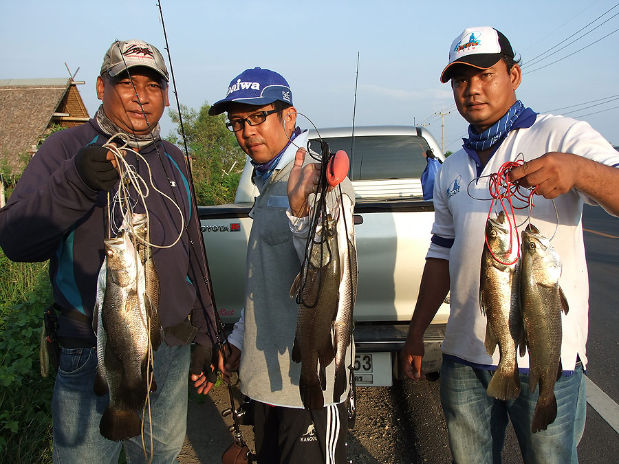 [b]จับมาถ่ายรูปรวมซ๊ะเลยครับ 3 คน 8 ตัว ม่ายธรรมดาเลย อิอิ[/b]
 :cool: :cool: :cool: :cool: :cool: 
