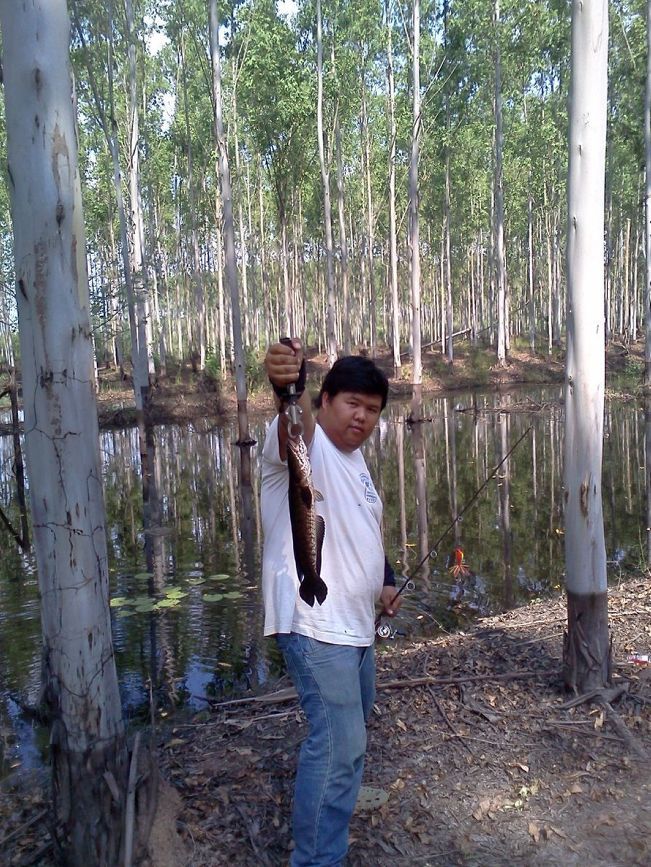 นั่นๆๆแอบนะเมริง