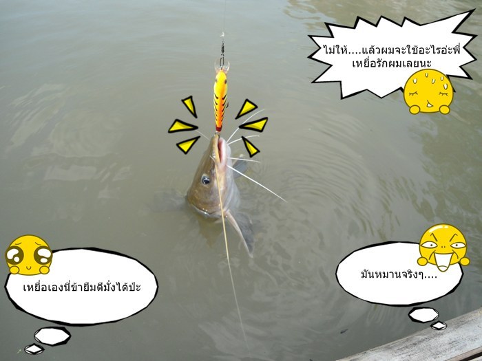 มาถึงหน้าประตูน้ำ เดียร์ก็กดปลากด มาอีก1ตัว :grin: :grin: :grin: