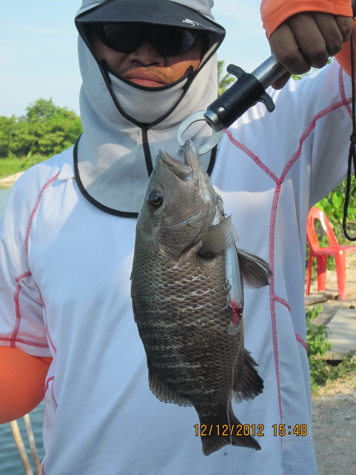 น้าๆมาดูกันว่ามันกินเหยื่ออะไรครับ :cool: