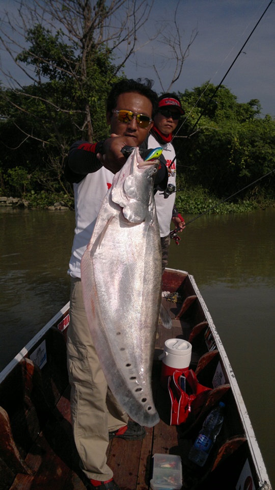 [center][b]Rapala DT-THUG DTTSS  เหยื่อดีๆที่หลายคนมองช้าม[/b][/center]