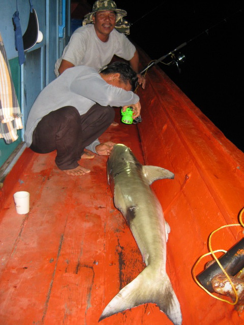 ชั่งบนเรือได้  20.2 kg ครับ