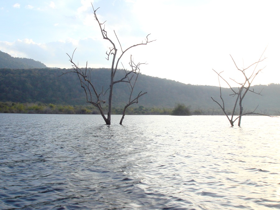 มาต่อกันเลยครับ 


---------------------------------------




 [q]ผมแนะนำให้น้าโถงลงเรือกับ