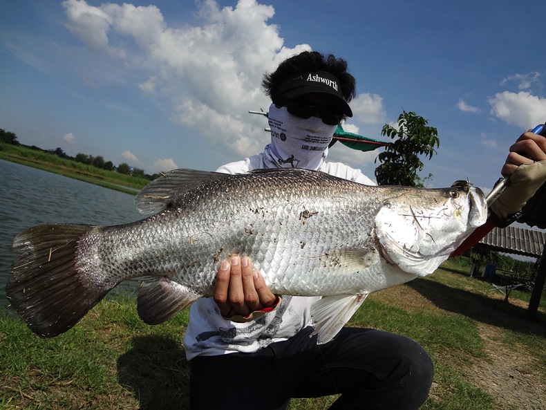  [center] [q]ลากันด้วยภาพนี้ละกันคับ .... โดยรวมแล้วสนุกมากคับ ที่บ่อน้องเนย ปลากัดค่อนข้างดี ดีเลยท