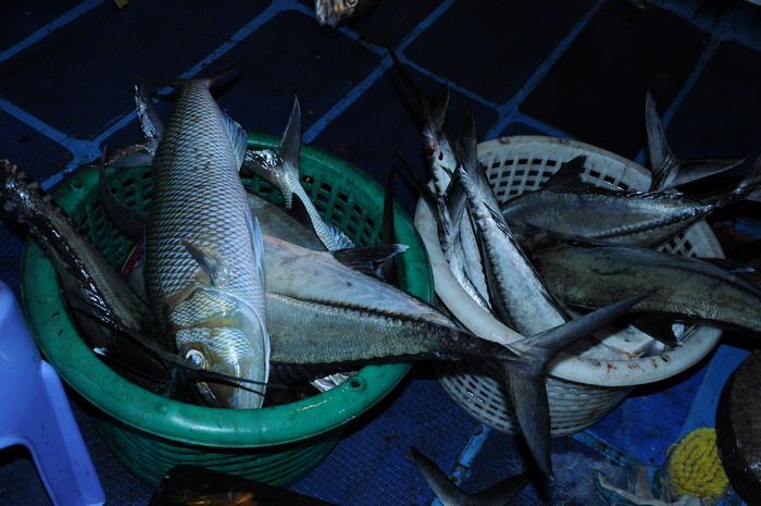 ท้ายเรือ