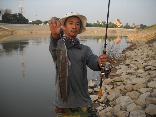 น้าวุฒบอกได้คู่ตมยำแล้ว

จัดหล่อ 1 ใบครับ

แล้วน้าก็ขอกลับบ้านก่อนเย็นแล้วเดี๋ยวพรุ่งนี้เช่ามาให