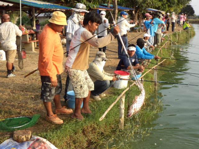 ทีมงานป๊อปปีดสิงห์บุรี ก็ยึดสนามข้างตราชั่งเหมือนกัน
รอบเช้าไม่รู้ว่าฟลุคหรือใช้ฝีมือได้ปลาอึ่งไปหล