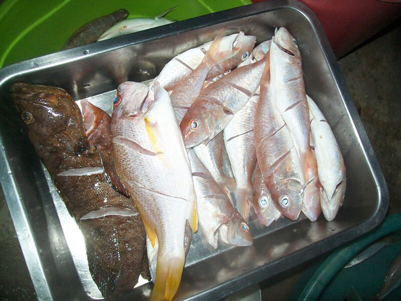 เตรียมปลาครับ  :umh: