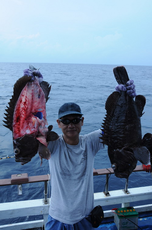 เก๋าถ่านกับเก๋าสีทอง :grin: :grin: :grin:
