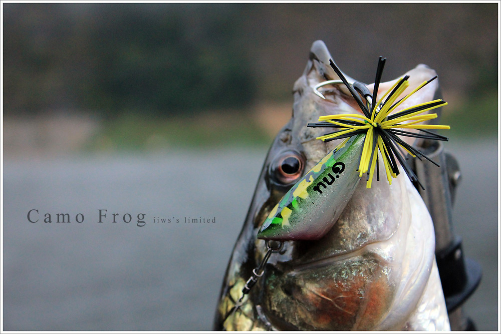 






ถัดจากจุดเกิดเหตุ เมื่อตะกี้ ไม่เกิน 5 เมตร

ผมก็จัดเจ้านี่ขึ้นมาได้ด้วย Camo Frog 
