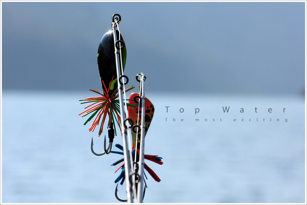 



Topwater เหยื่อที่เร้าใจที่สุด



นักตกปลาสามารถรับรู้ได้ทั้ง ภาพ เสียง ความรู้สึกที่มือ