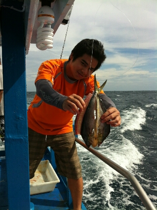 นอกจากหาปลาซาชิมิแล้วยังมีปลาแดดเดียวของน้องวิวอีกต่างหาก