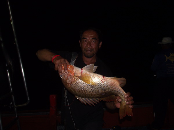 โกสุเนตรกับปลาอั้งเกยครับ :cheer: :cheer: :cheer: