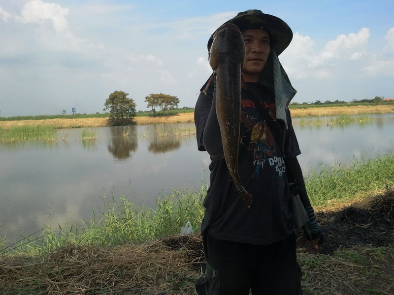 ขุนชา ฝากสาส์นถึงท่านขุนที ยามใดท่านพลาดพลั้งมาทางตะวันตก ท่านจะต้องโดนเชือดอย่างเชลยเช่นนี้...