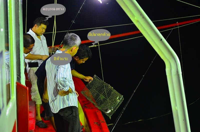 [q][i]อ้างถึง: แป๊ะบางพาน posted: 25-12-2555, 12:02:48[/i]

ตามชมด้วยคนครับน้า :cheer: :cheer: :ch