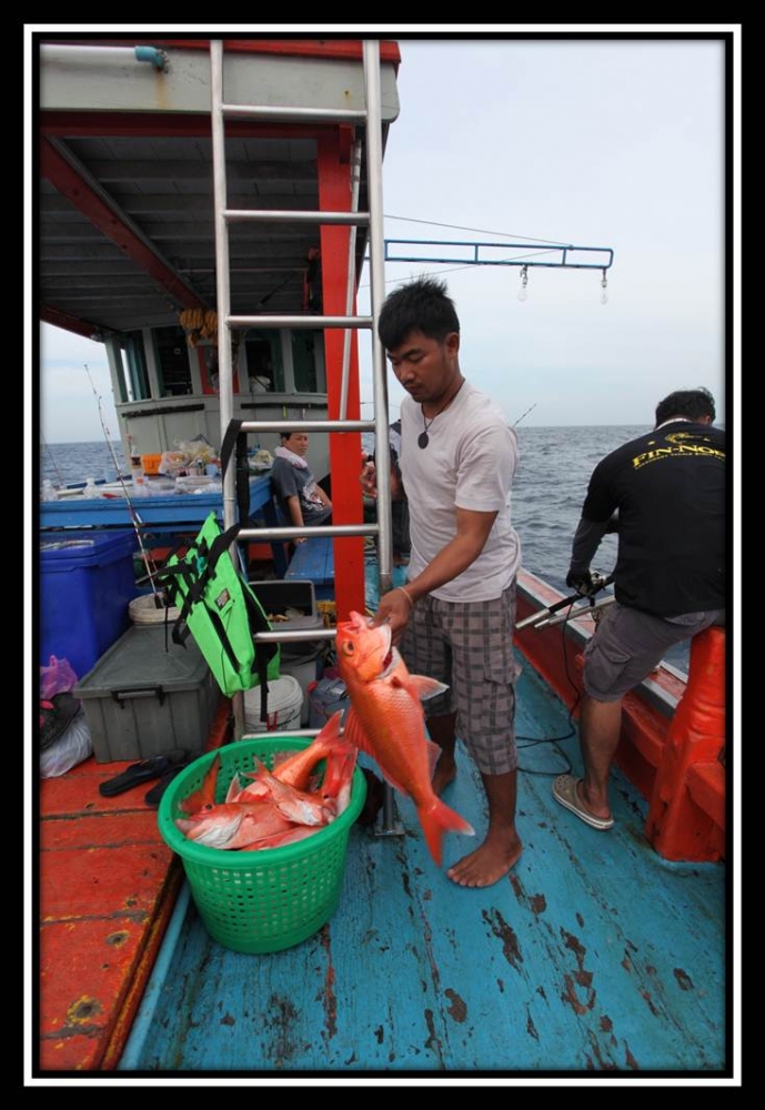 เช้านี้ตั้งแต่ 7 โมงเช้า ถึง 10 โมงเช้าปลากินตลอดจนเหยื่อปลาโอที่สั่งไว้ 40 กิโลกรัมใกล้หมด....ไม่มี