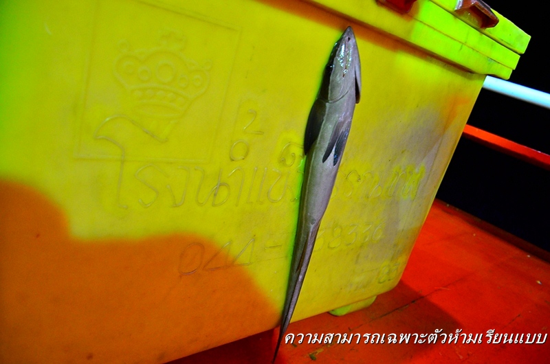 [q][i]อ้างถึง: ปังปอนคุง posted: 26-12-2555, 04:43:01[/i]

[q][i]อ้างถึง: 5ดาว posted: 25-12-2555,