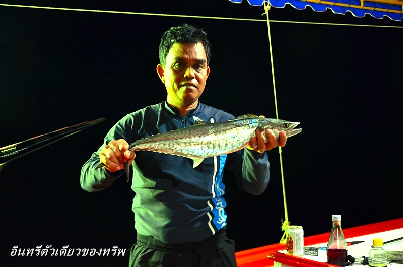 [q][i]อ้างถึง: chat2521 posted: 26-12-2555, 09:32:57[/i]

+++ ตามชมครับน้า
 :cheer: :cheer: :chee