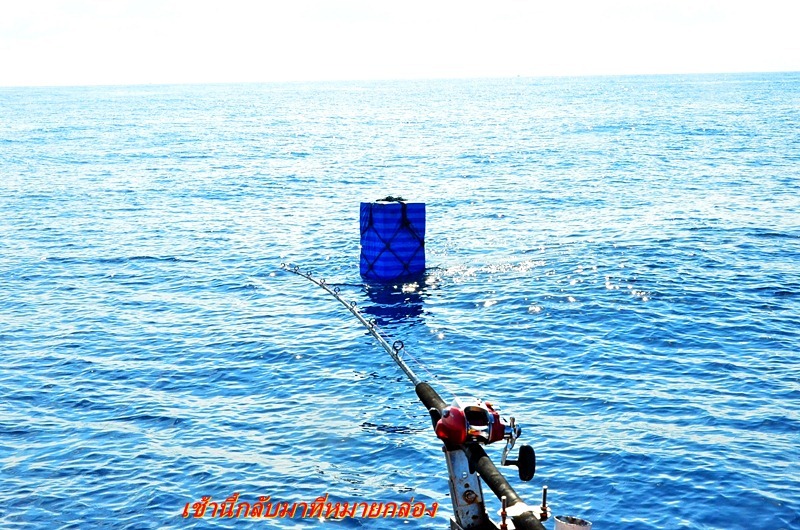 [q][i]อ้างถึง: jamefishing posted: 28-12-2555, 14:50:50[/i]

 :cheer: :cheer: :cheer:[/q]
  :pros