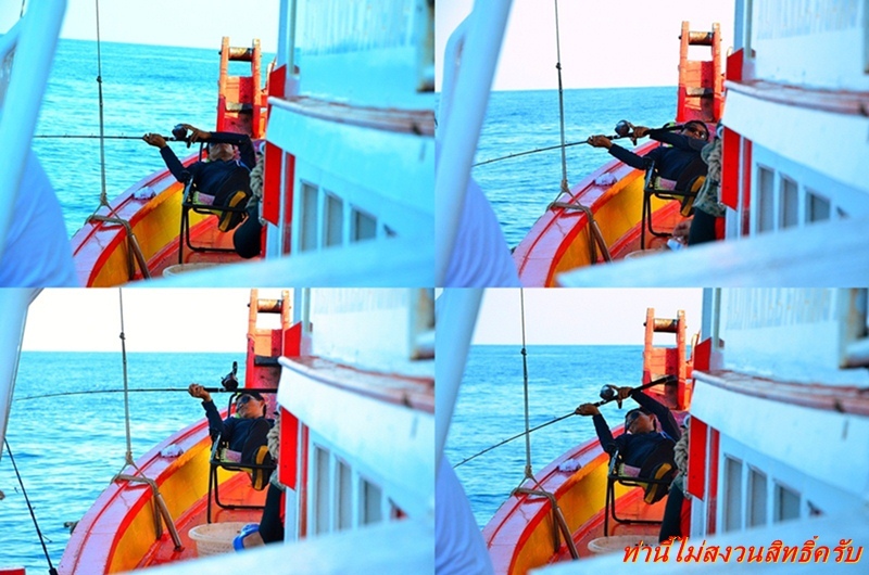 [q][i]อ้างถึง: หนุ่ยดอนเมือง posted: 28-12-2555, 16:31:32[/i]

 :cheer: :cheer: :cheer: :cheer: :c