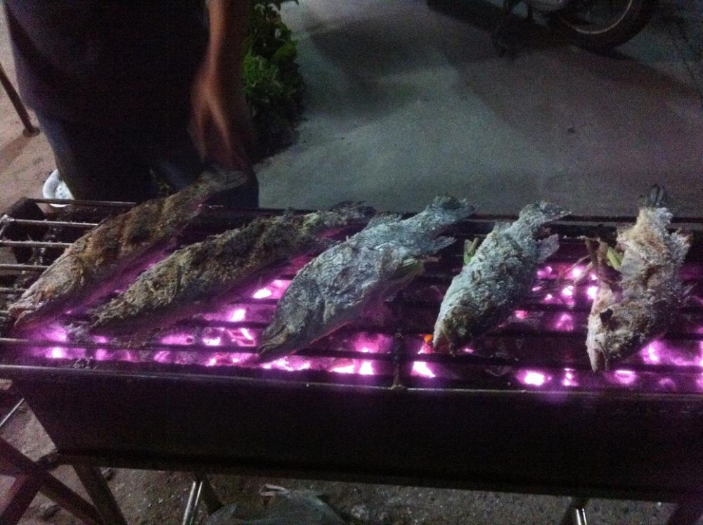 ที่เหลือ ย่างเกลือครับ อร่อยๆกันไปครับ :laughing: :laughing:
