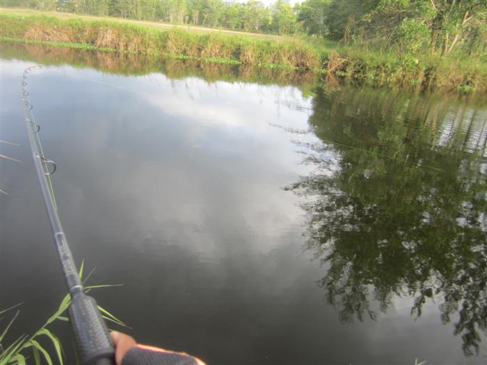 :cheer: แล้วมันก็เป็นผลจริงๆ :cheer: แค่ไม้เดียวเท่านั้นเอง ช่อนมันก็หลงกลนซะแล้ว รึว่าเหยื่ออาจจ