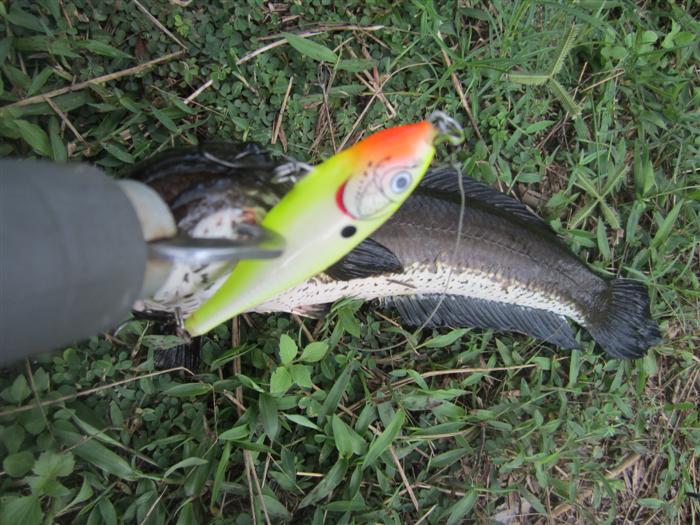 ถ่ายรูปชักพัก ก็มีเพื่อนขับรถมอเตอร์ไซร์ผ่านมาพอดี เลยเรียกให้เพื่อนมาช่วยถ่ายรูปให้