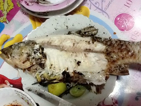 ปลากระสูบเผาครับมื้อนี้อร่อยครับ.      แต่! น้าๆพอจะรู้มั้ยครับว่าปลากระสูบตัวไหนเป็นตัวเมียตัวไหนเป