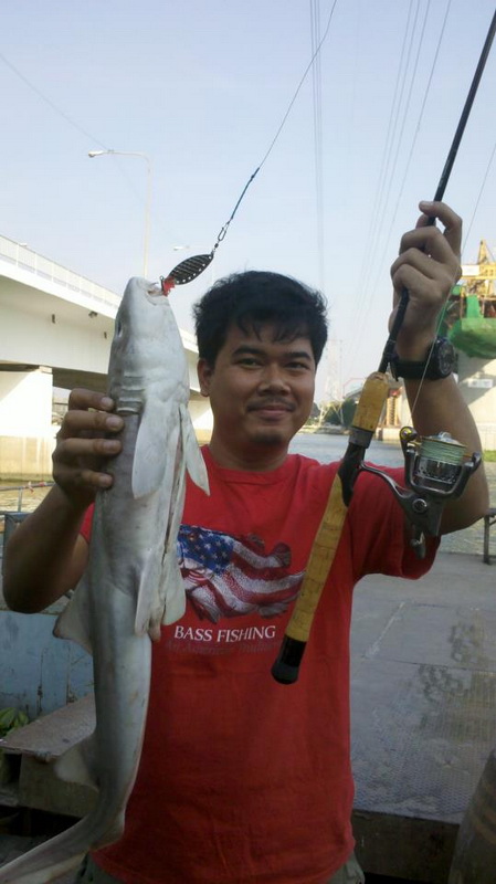 บนเรือลืมถ่าย เลยจัดฉากถ่ายใหม่ ฉลามกินสปูนๆๆล้อเล่นน่า