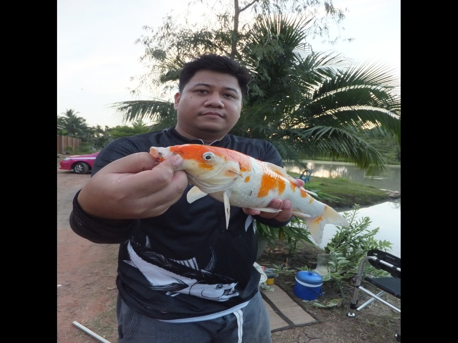 อีกมุม
 :grin: :grin: :grin: