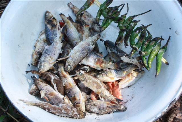 ปลาเกร็ด ปลาสร้อยก็ทาเกลือย่างครับ กินแนมกับ พริกย่างหอมๆ :umh: