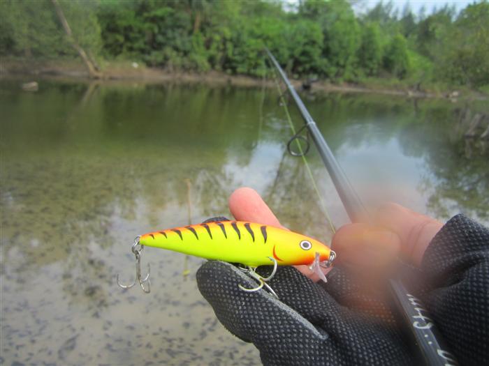 ลองดูอีกทีกับเหยื่อปลั๊ก Rapala fat rap 8 