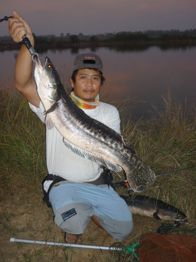 ตัวนี้ของพี่โทน   โฉมหน้าผู้ผลิตกบโทนยุดยาครับ