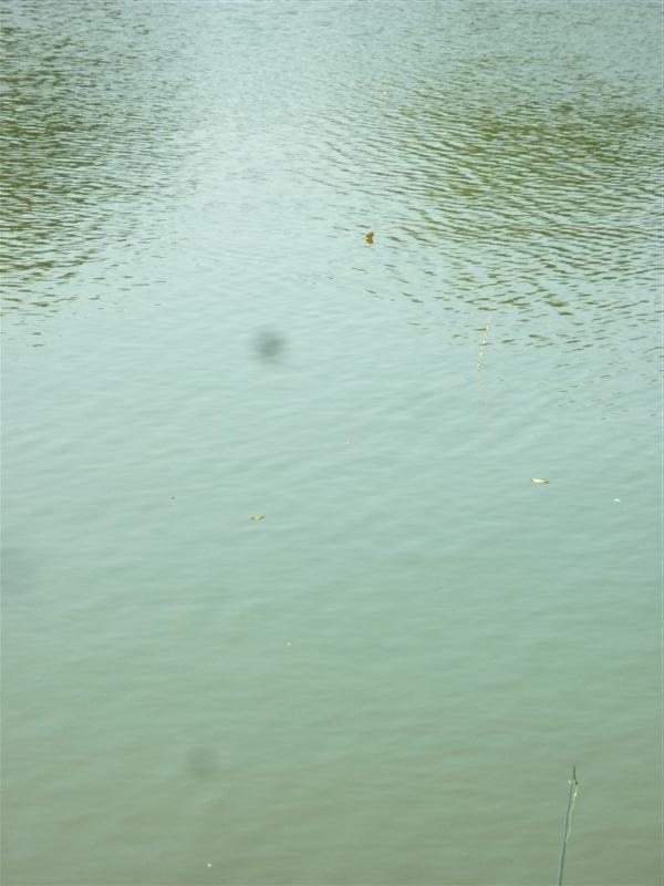                      ภาพชุดต่อไปนี้คือภาพต่อเนื่องจนขึ้นเลยน๊ะครับ 