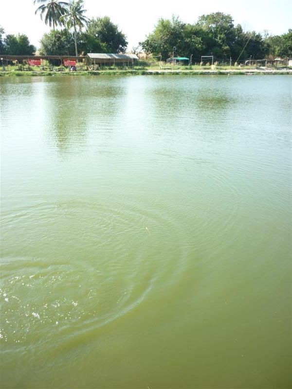                      หลุดเฟรมบ้าง  นี่ล่ะครับ ตามสถานการณ์จริงเลย ภาพหลุดๆเฟรมแบบนี้เยอะครับ มันไม่ง