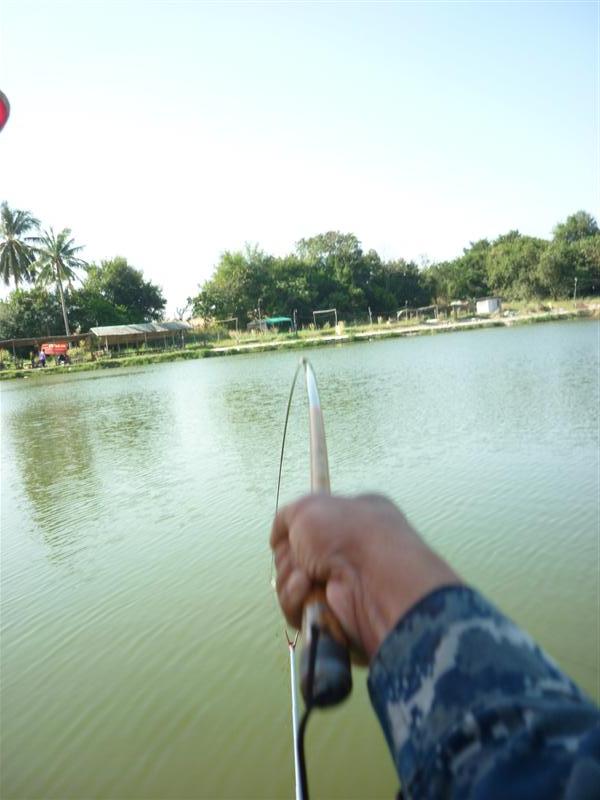                    แหม่....จะให้ได้ภาพแบบนี้มันยาก... มันเกร็งดีจริง  .......  มันต้องพร้อมกันทั้งสอ