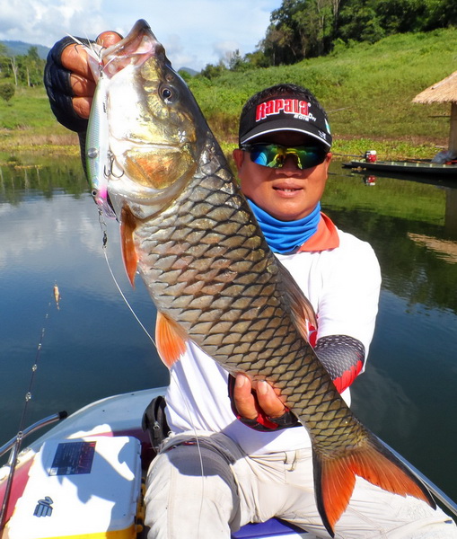 ผลงานของผม
ผลงานของ Rapala clackin' Minnow 11
