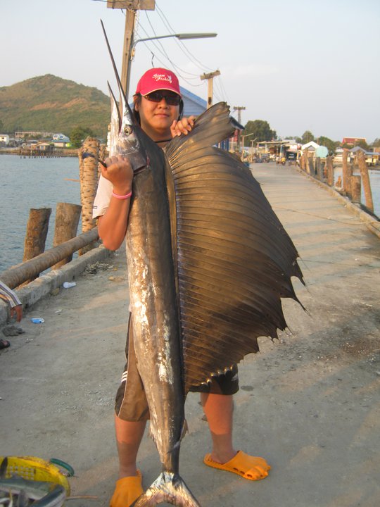 ครบรอบ 3 ปี สมาชิก siamfishing อยากได้  ไต๋นนท์คนขยัน จัดให้ ที่ แสมสาร   