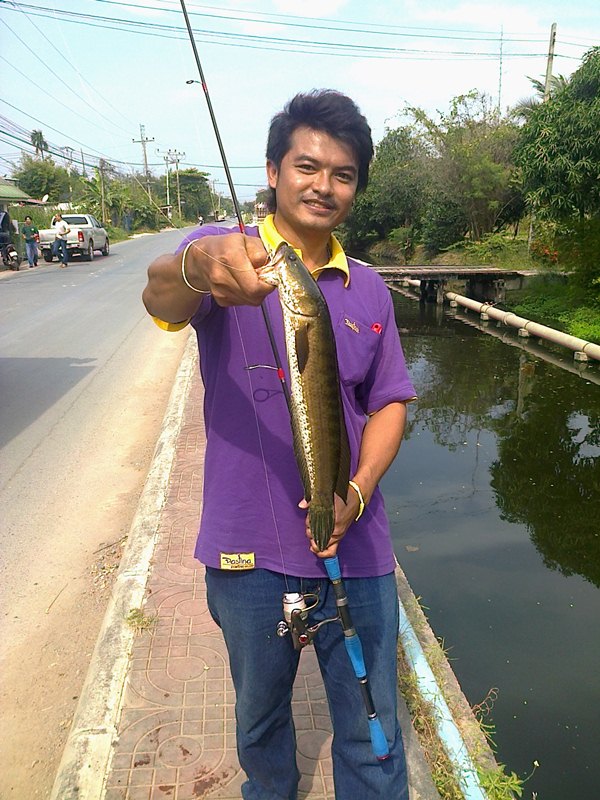 ตีไปอีกก็โดนเจ้าตัวนี้ต้องเอากลับโรงงานเล่นยางขาวผมหายไปเลย :laughing: :laughing: :grin: :love: