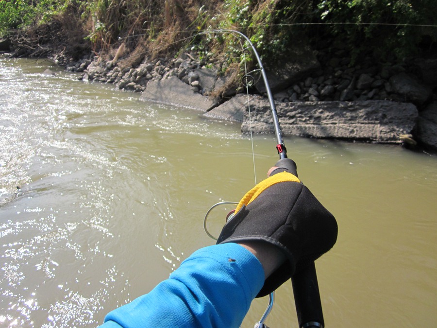  [b]ตาผมลองบ้างครับ[/b]  :cool: :cool: :cool:

 [b]RAPALA  SHAD 7ALB ตัวนี้ตีออกไปปล่อยไหลเกือบถึง