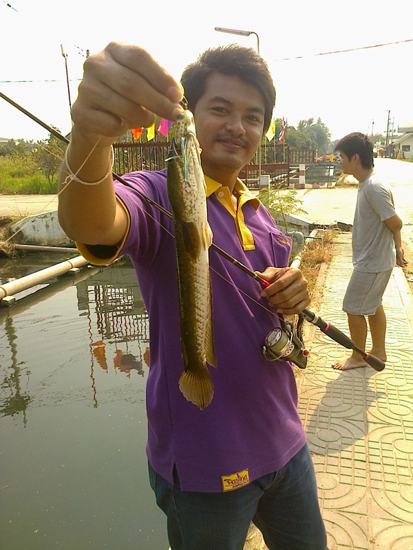 ไอ้ป๊อกซ่าก็ยังมีคับ :laughing: :grin: